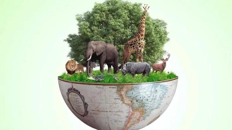 Đa dạng sinh học vai trò thiết yếu với tự nhiên và cuộc sống