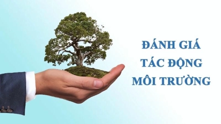Tác động môi trường - Hệ quả và thách thức với cuộc sống