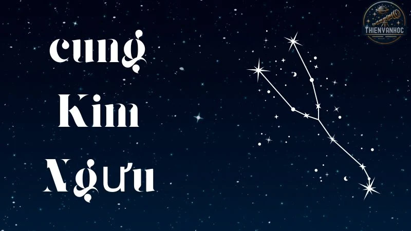 Tìm hiểu cung Kim Ngưu - Tính cách, tình yêu và sự nghiệp