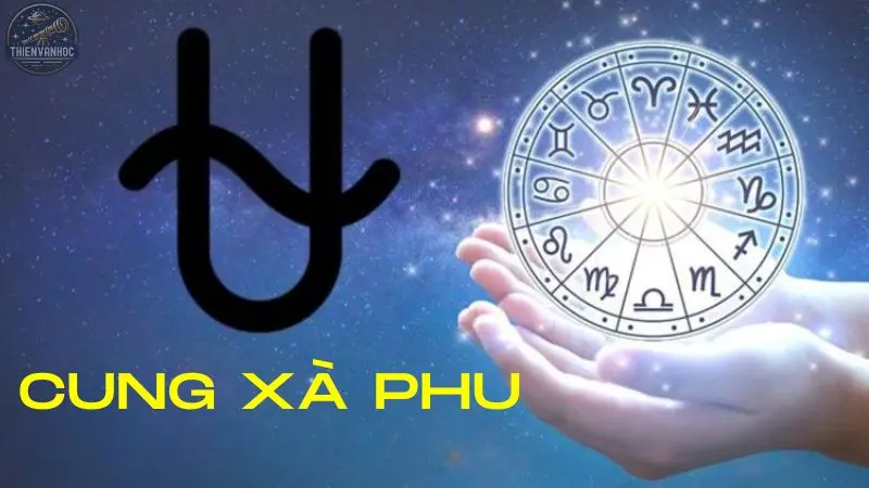 Tìm hiểu cung Xà Phu – Cung hoàng đạo thứ 13 đầy tranh cãi