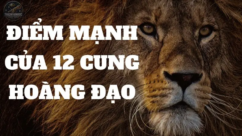 Khám phá điểm mạnh của 12 cung hoàng đạo giúp bạn tỏa sáng