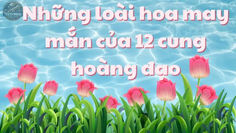 Bật mí những loài hoa may mắn của 12 cung hoàng đạo