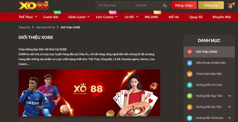  Tải app XO88 dễ dàng trên Android và iOS trong 2 phút 