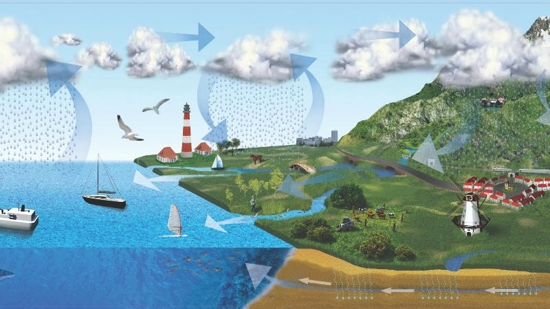 Các giai đoạn chính trong chu trình tuần hoàn