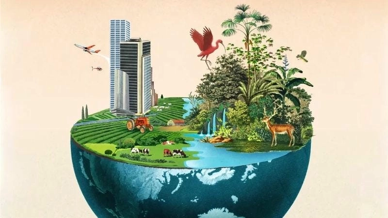 Những tác động lâu dài tới con người và trái đất