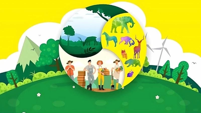 Giải pháp khôi phục và bảo vệ sự đa dạng tự nhiên