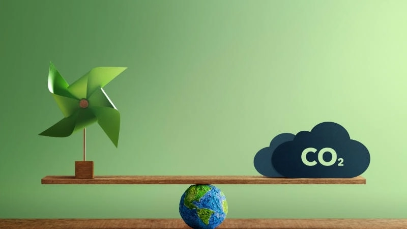 Những vai trò nổi bật của việc hấp thụ carbon