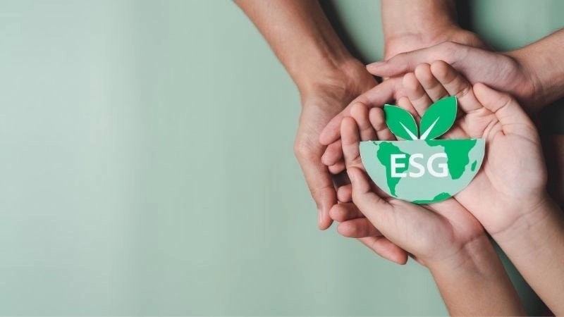 Các lĩnh vực đang áp dụng mô hình bền vững