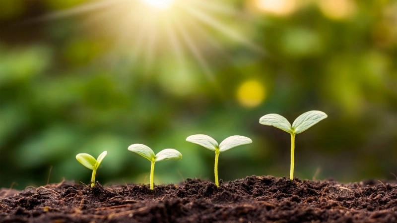 Lợi ích dài hạn của phục hồi đất đối với con người