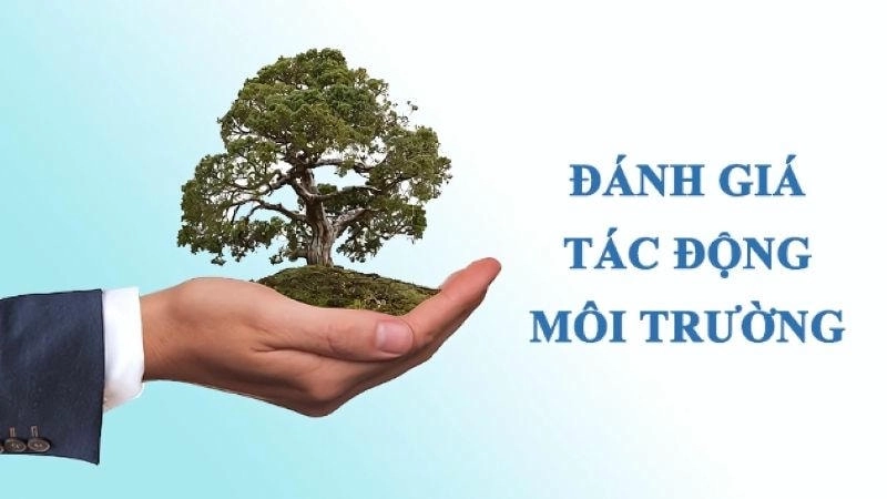 Các lĩnh vực khoa học hỗ trợ đánh giá tác động môi trường