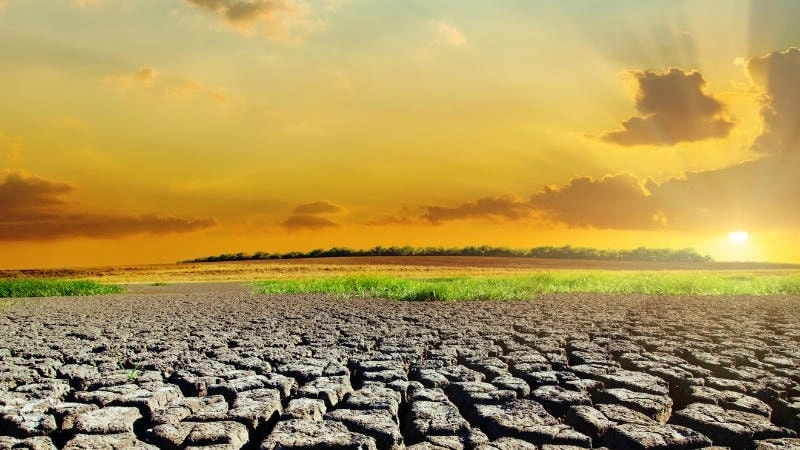 Cách con người ứng phó với thảm họa tự nhiên