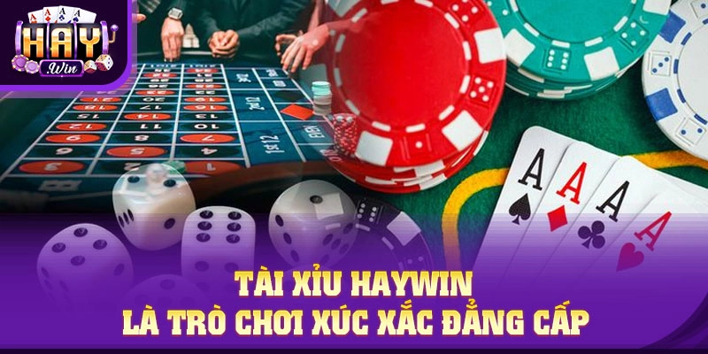 Điều gì khiến Tài Xỉu HAYWIN “gây nghiện”?