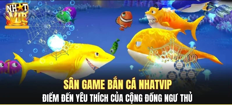 Giao diện ấn tượng – Khi đại dương thu nhỏ trong lòng bàn tay
