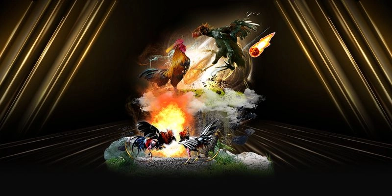 Mẹo cá cược đá gà hiệu quả