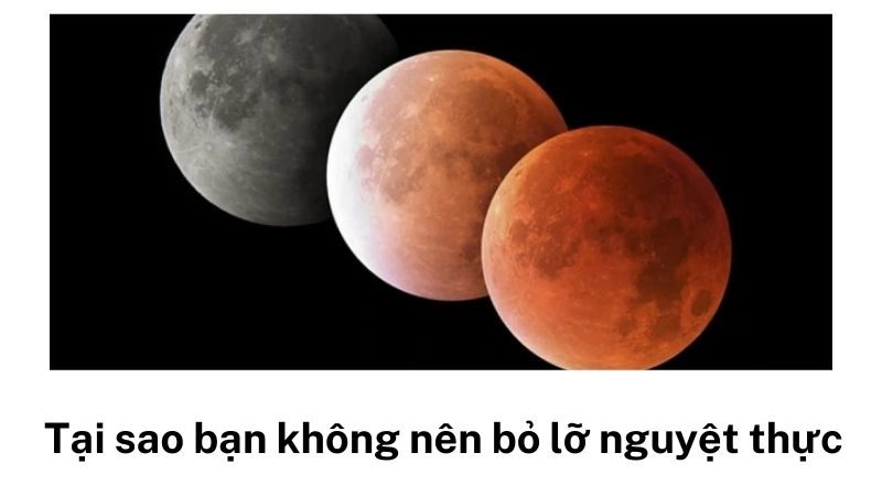 Tại sao bạn không nên bỏ lỡ nguyệt thực tiếp theo vào 2026? 