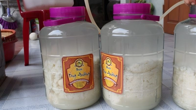 Quy trình ngâm ủ chuẩn hóa theo lối cổ truyền