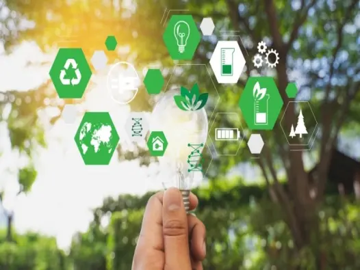 Nông nghiệp bền vững – Giải pháp cho tương lai xanh sạch