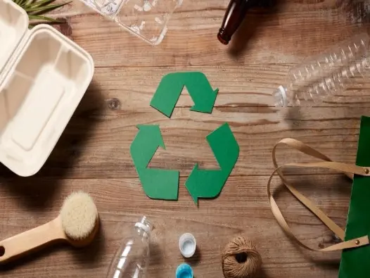 Tái chế giấy – Giải pháp bảo vệ môi trường hiệu quả