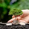 Giáo dục môi trường và tầm quan trọng đối với tương lai