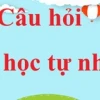 Sao chổi là gì? Khám phá những điều kỳ diệu của 'người khách' vũ trụ