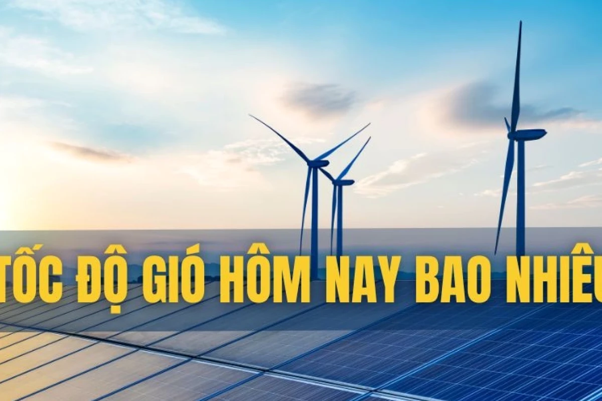 Tìm hiểu về tốc độ gió và những kỷ lục sức mạnh thiên nhiên năm 2026