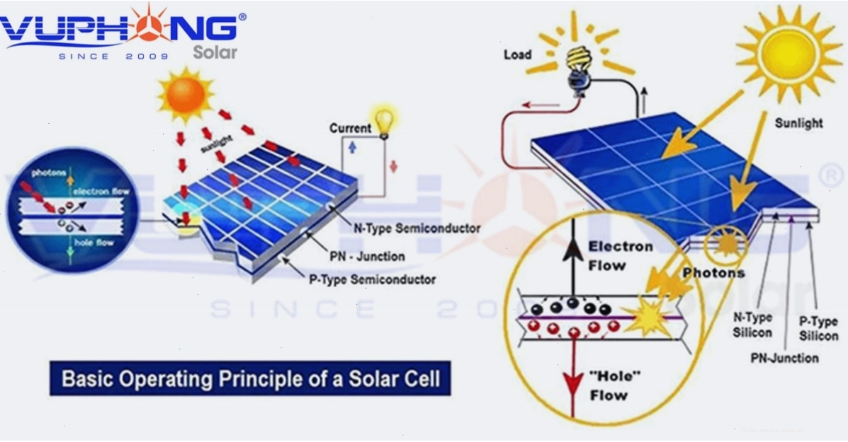 Các tế bào quang điện (solar cells) cấu thành nên tấm pin