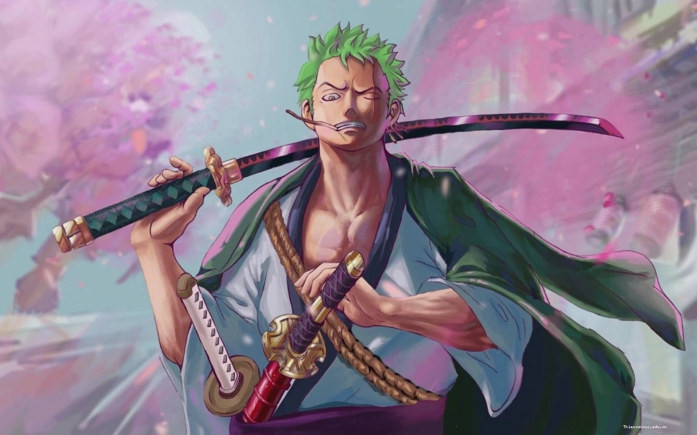 Hình ảnh Zoro đang trong thế tấn công