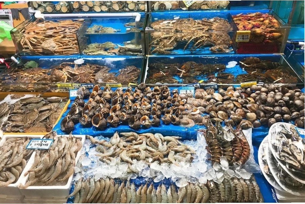 Lựa chọn tôm tươi sống tại các chợ hải sản uy tín
