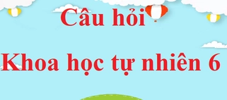 Sao chổi là gì? Khám phá những điều kỳ diệu của 'người khách' vũ trụ