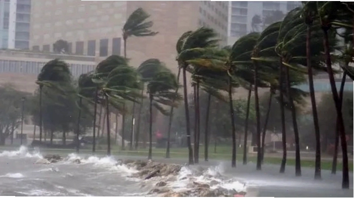 Sức tàn phá của bão lớn với tốc độ gió cực cao tại Miami