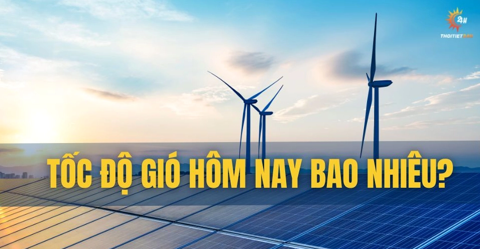 Tìm hiểu về tốc độ gió và những kỷ lục sức mạnh thiên nhiên năm 2026