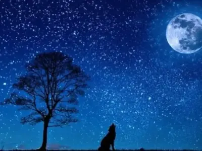 Khám phá vẻ đẹp bí ẩn bằng cách quan sát hành tinh
