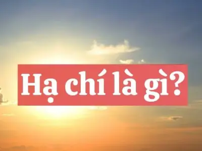 Hạ chí là gì? Khám phá bí ẩn về ngày dài nhất trong năm