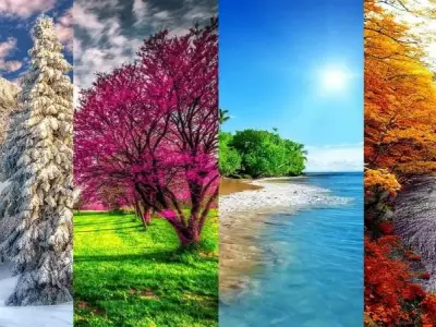 Vì sao Trái Đất có bốn mùa? Lời giải thích khoa học dễ hiểu