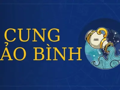 Cung Bảo Bình hợp cung nào nhất trong 12 cung hoàng đạo?