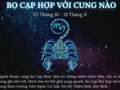Cung Bọ Cạp hợp với cung nào? Tìm hiểu ngay sự tương hợp!