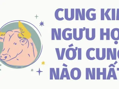 Cung Kim Ngưu hợp với cung nào nhất? Tìm hiểu ngay!