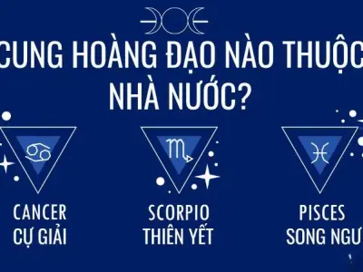 Cung nước gồm cung nào? Giải mã sự nghiệp và tình duyên
