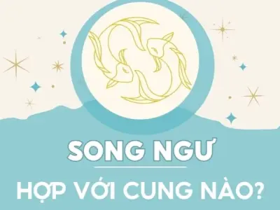 Khám phá cung Song Ngư hợp với cung nào trong cuộc sống