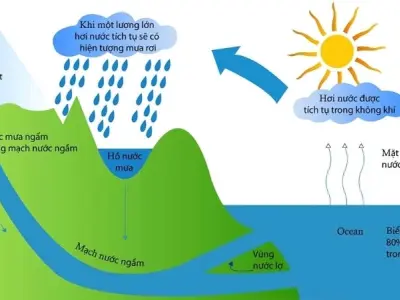 Chu trình nước và vai trò đối với sự sống trên Trái Đất