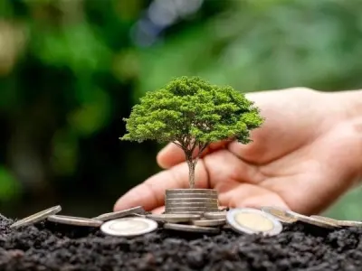 Giáo dục môi trường và tầm quan trọng đối với tương lai