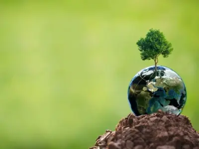 Hệ sinh thái và vai trò to lớn trong sự cân bằng Trái Đất