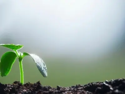 Hệ sinh thái đất và vai trò quan trọng trong tự nhiên