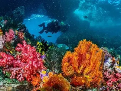 Hệ sinh thái nước – Bảo vệ nguồn sống quý giá của Trái Đất