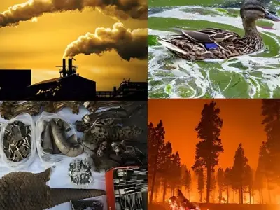Mất đa dạng sinh học và thách thức lớn đối với Trái Đất