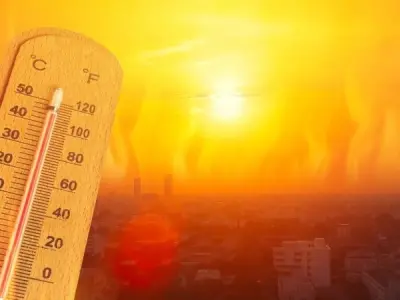Sóng nhiệt - Hiểu rõ và ứng phó với thời tiết khắc nghiệt