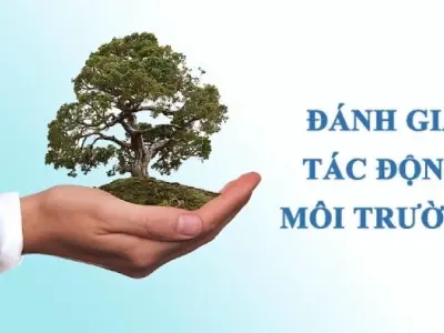 Tác động môi trường - Hệ quả và thách thức với cuộc sống