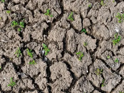 Thoái hóa đất – Thách thức âm thầm đang đe dọa Trái Đất