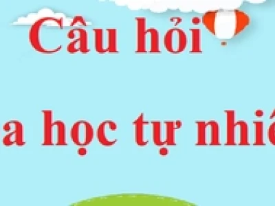 Sao chổi là gì? Khám phá những điều kỳ diệu của 'người khách' vũ trụ