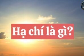 Hạ chí là gì? Khám phá bí ẩn về ngày dài nhất trong năm